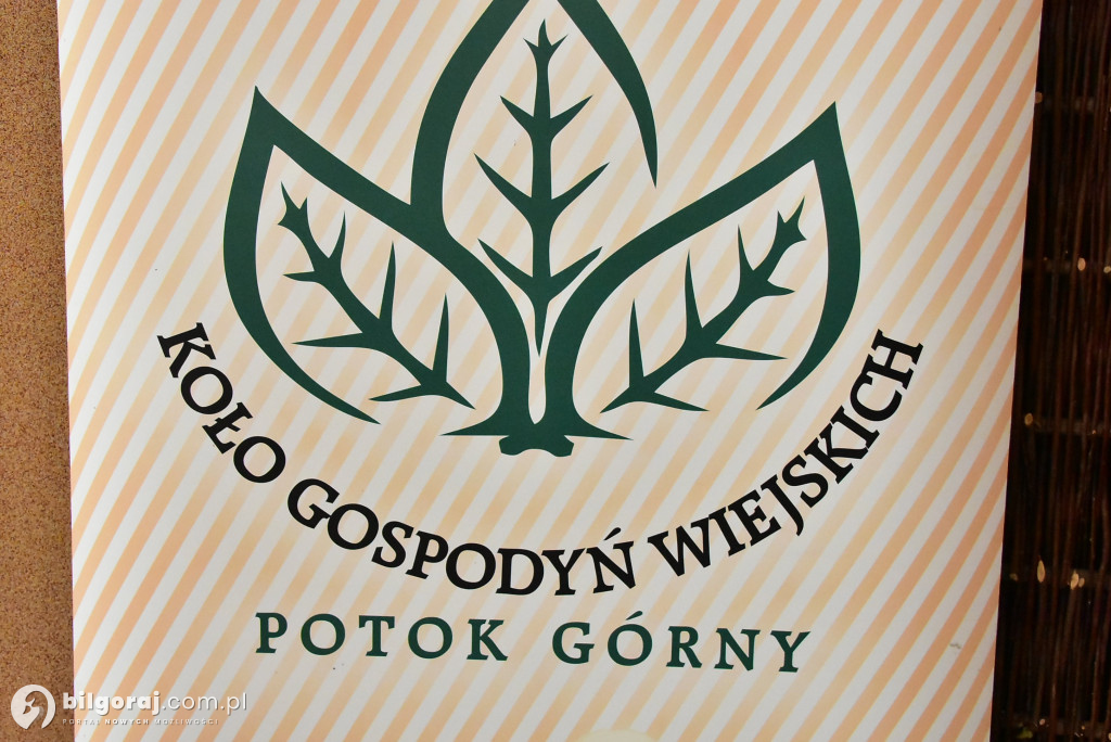 Potok Górny - Święto Kobiet Wiejskich: Pasja, integracja i szarlotka