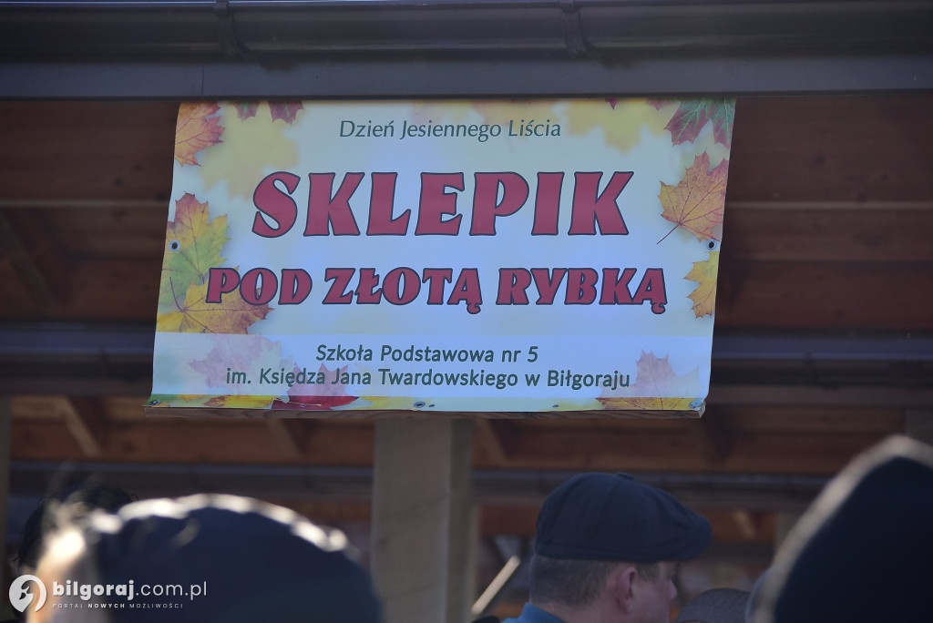 Biłgoraj. Dzień Jesiennego Liścia