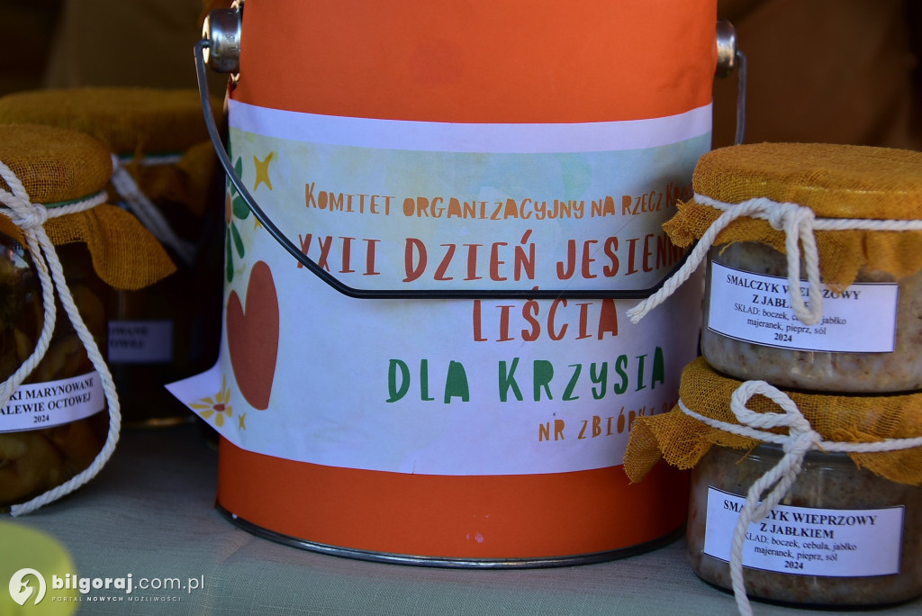 Biłgoraj. Dzień Jesiennego Liścia