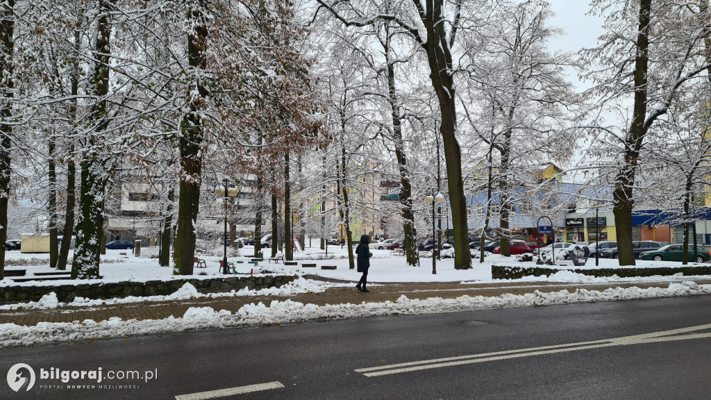 Będzie rewitalizacja Skweru Saskiego w Biłgoraju?