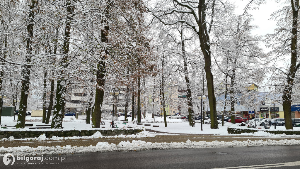 Będzie rewitalizacja Skweru Saskiego w Biłgoraju?