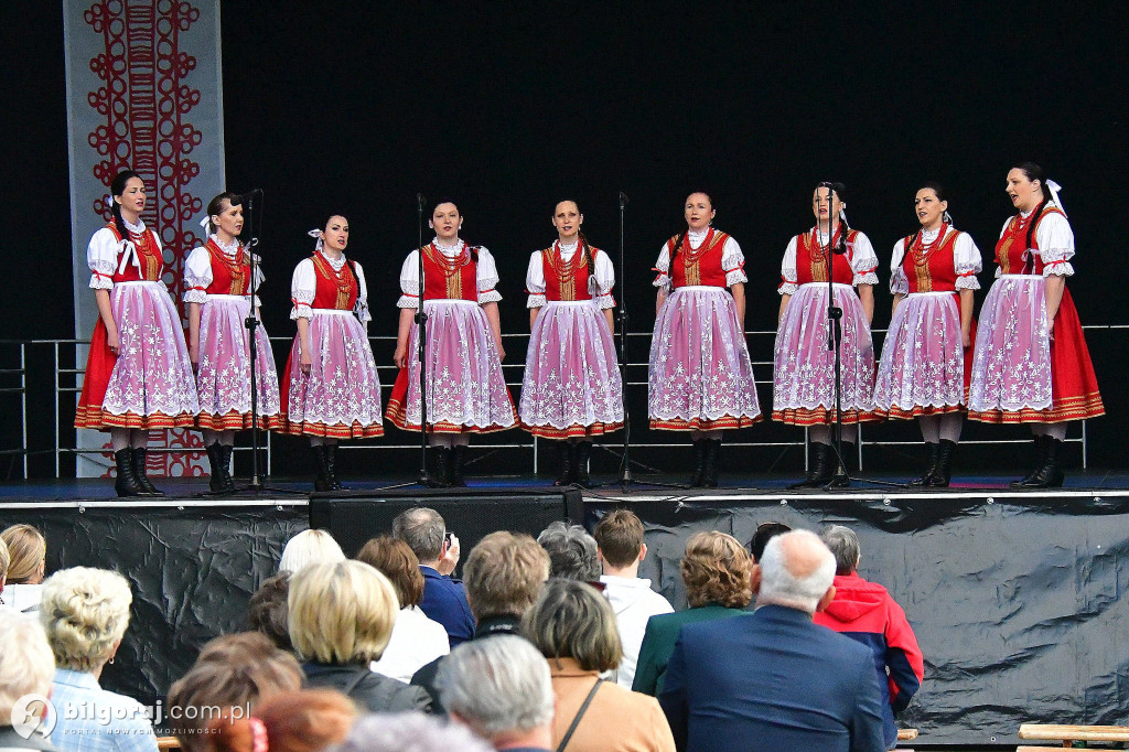 Biłgorajskie świętowanie majowych dni: koncert na scenie letniej BCK z biłgorajskimi zespołami