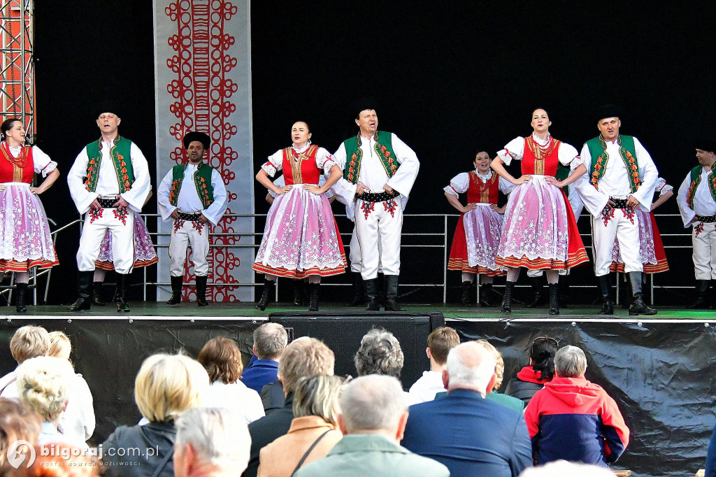 Biłgorajskie świętowanie majowych dni: koncert na scenie letniej BCK z biłgorajskimi zespołami