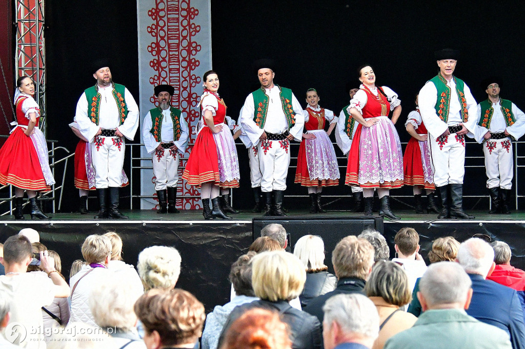 Biłgorajskie świętowanie majowych dni: koncert na scenie letniej BCK z biłgorajskimi zespołami