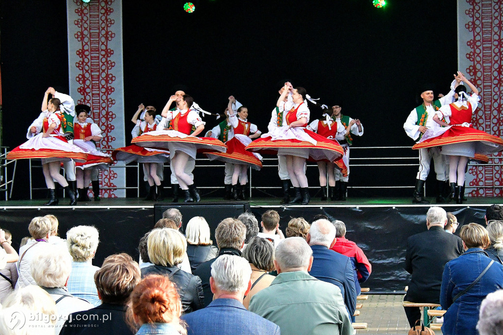 Biłgorajskie świętowanie majowych dni: koncert na scenie letniej BCK z biłgorajskimi zespołami