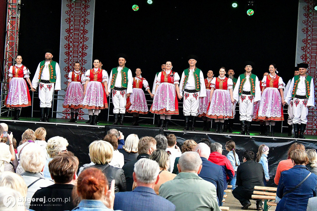 Biłgorajskie świętowanie majowych dni: koncert na scenie letniej BCK z biłgorajskimi zespołami