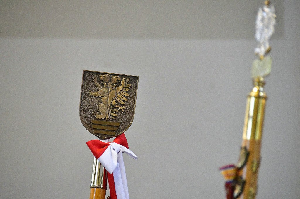 Delegacja Powiatu Biłgorajskiego na XVI Pielgrzymce Samorządów Terytorialnych w Lubaczowie