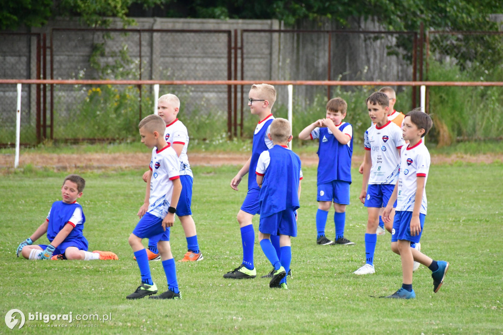 Piknik z okazji Dnia Dziecka oraz Wakacje na sportowo w Szyszkowie