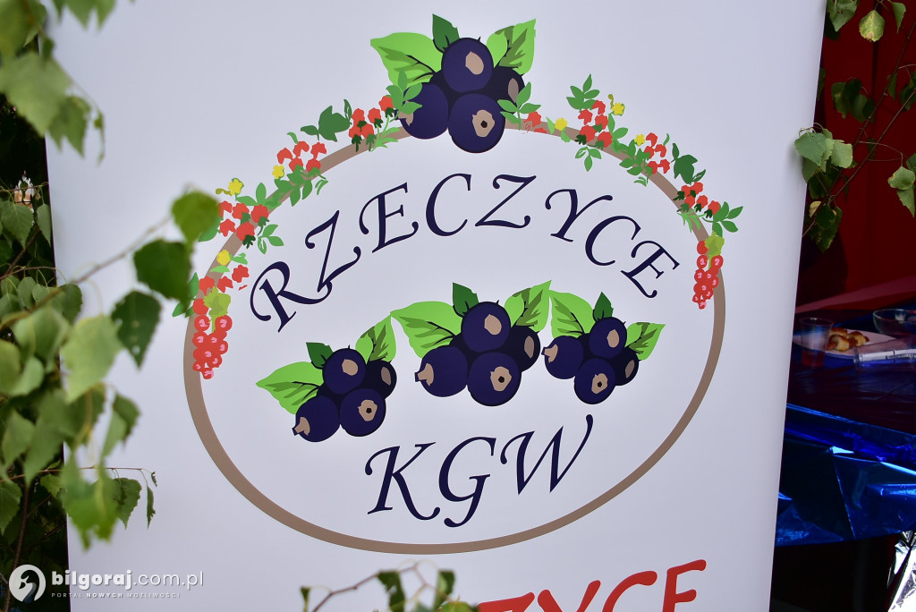Turniej miejscowości we Frampolu