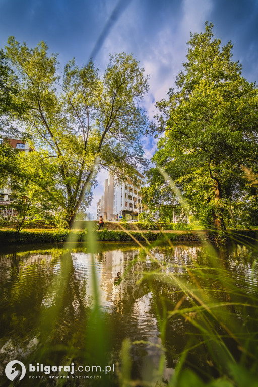 Myślisz o zakupie mieszkania w Rzeszowie? Wybraliśmy inwestycję idealną dla rodzin