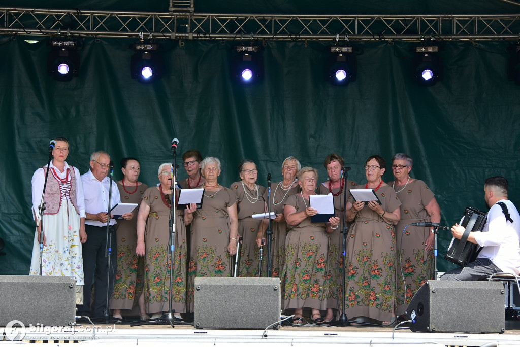 Jagoda jako symbol lokalnej tożsamości - relacja z Bukowskich Jagodzianek