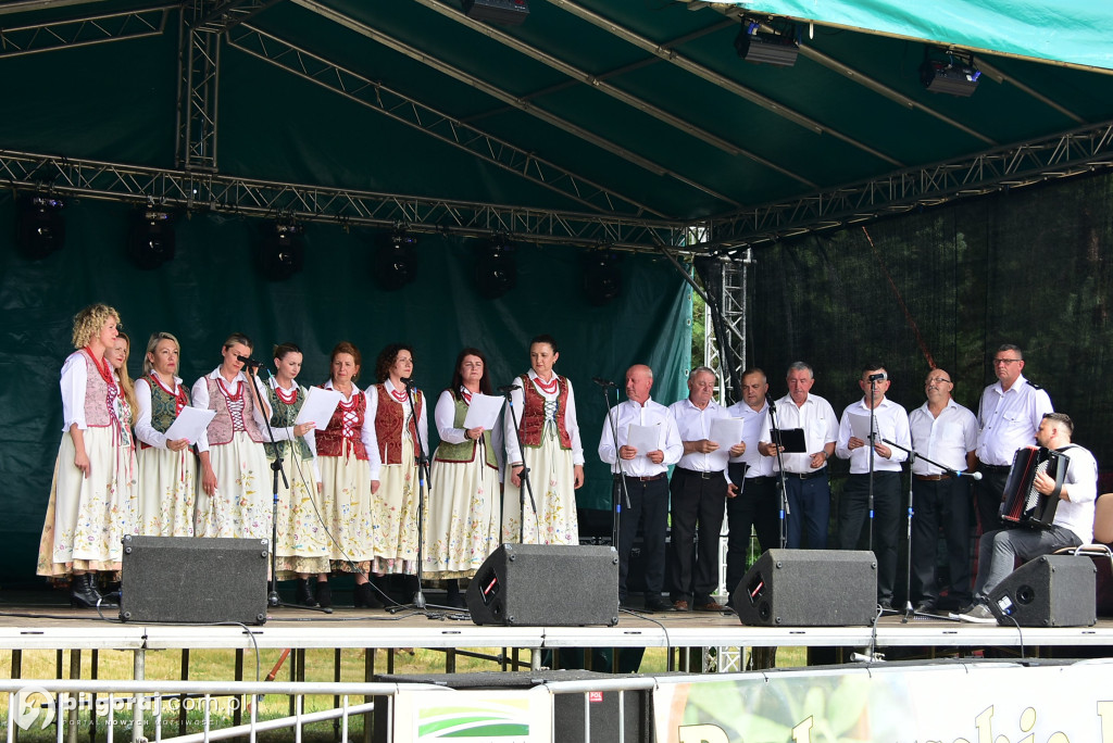 Jagoda jako symbol lokalnej tożsamości - relacja z Bukowskich Jagodzianek