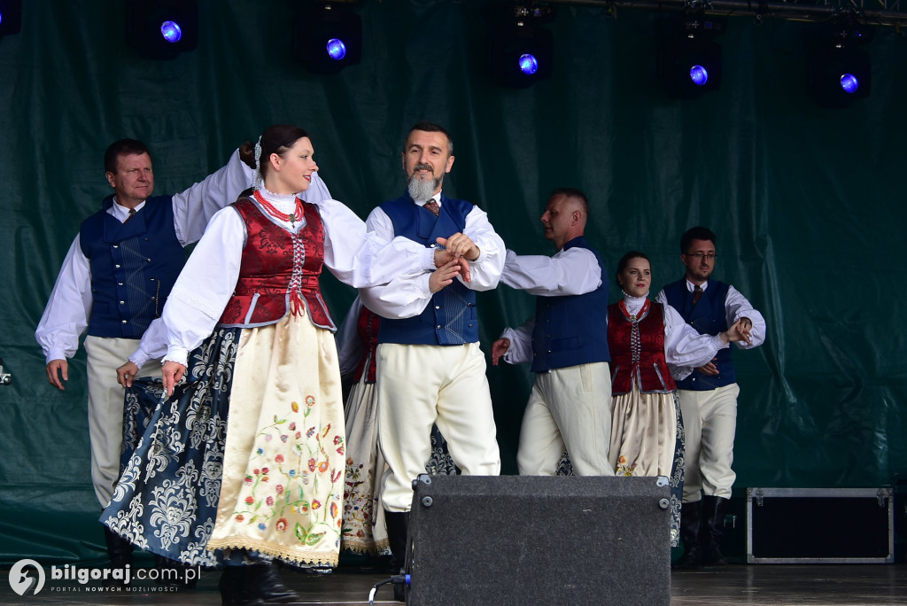 Jagoda jako symbol lokalnej tożsamości - relacja z Bukowskich Jagodzianek