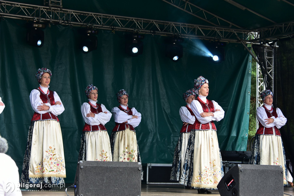 Jagoda jako symbol lokalnej tożsamości - relacja z Bukowskich Jagodzianek