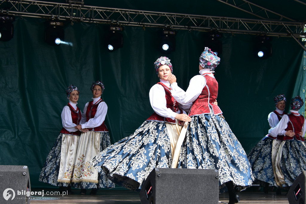 Jagoda jako symbol lokalnej tożsamości - relacja z Bukowskich Jagodzianek