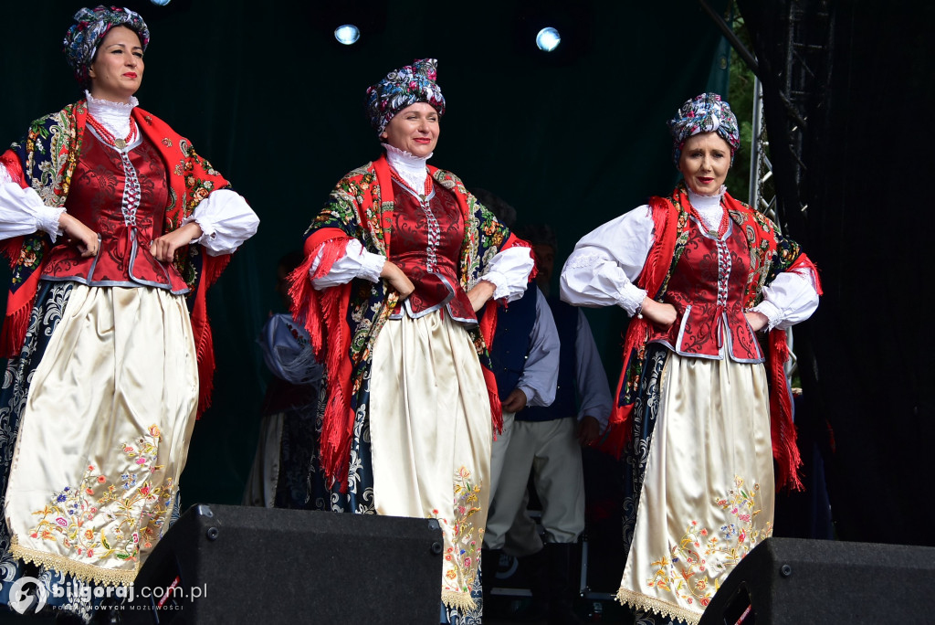 Jagoda jako symbol lokalnej tożsamości - relacja z Bukowskich Jagodzianek