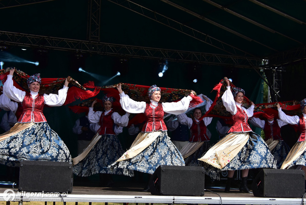 Jagoda jako symbol lokalnej tożsamości - relacja z Bukowskich Jagodzianek