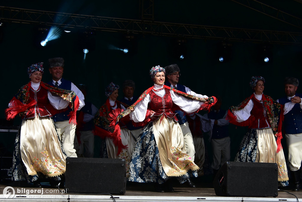 Jagoda jako symbol lokalnej tożsamości - relacja z Bukowskich Jagodzianek