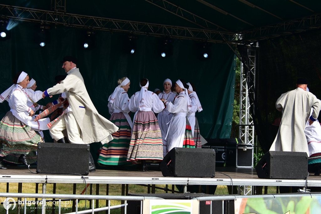 Jagoda jako symbol lokalnej tożsamości - relacja z Bukowskich Jagodzianek