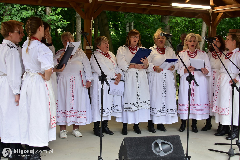 Piknik rodzinny w Lipinach Dolnych – wspólna zabawa, integracja i edukacja