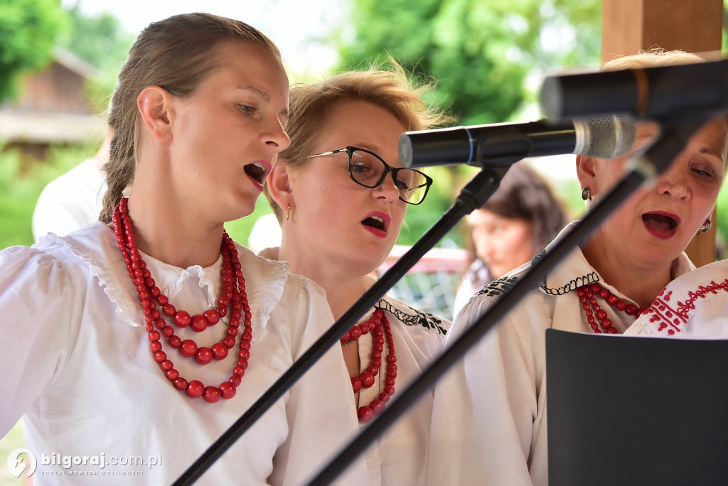 Piknik rodzinny w Lipinach Dolnych – wspólna zabawa, integracja i edukacja