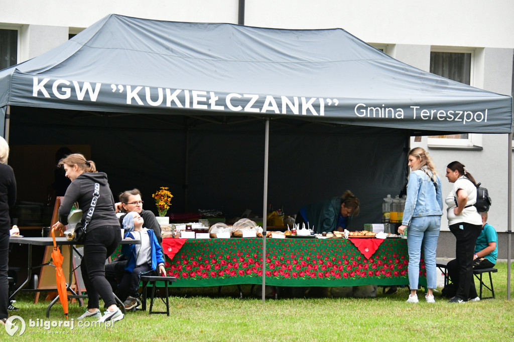 Rodzinna rozrywka i wsparcie dla Adasia – Wielki Festiwal Dmuchańców w Tereszpolu