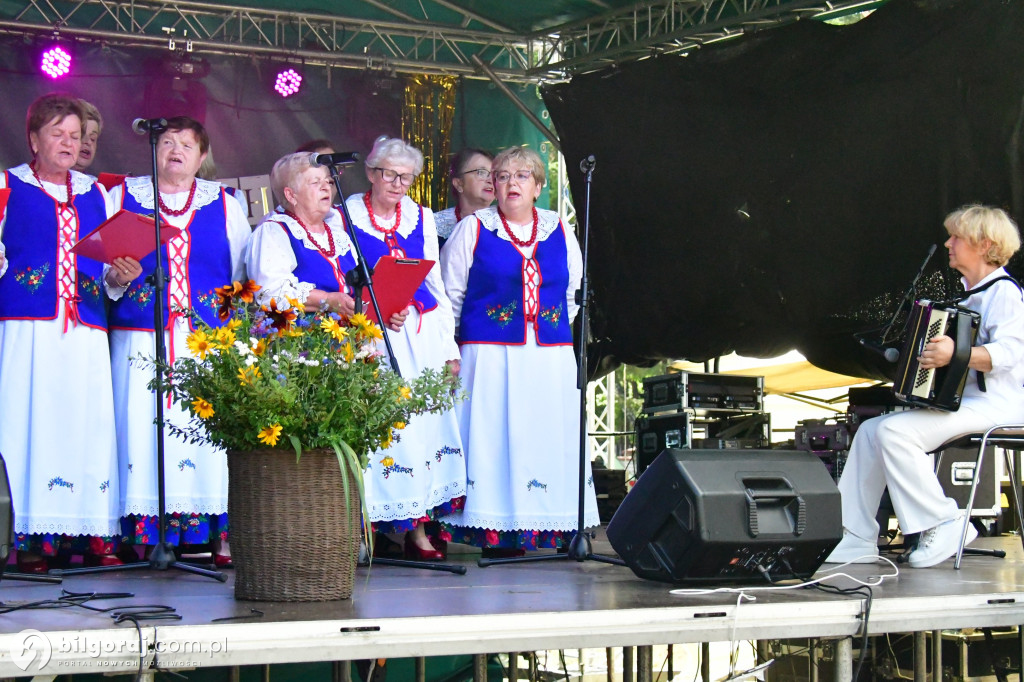 Rodzinny Piknik w Dąbrowicy – Święto, sport i zabawa dla całej rodziny