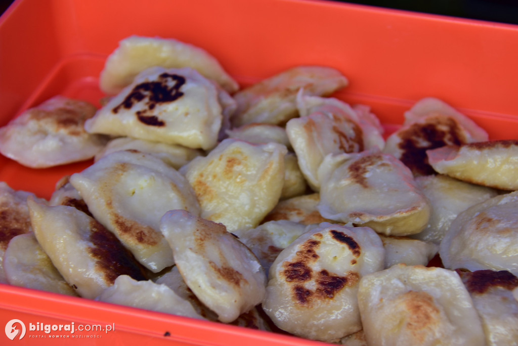 Dzień Miodu i Pieroga w Biszczy – tradycja, smaki i muzyka nad Zalewem Biszcza-Żary