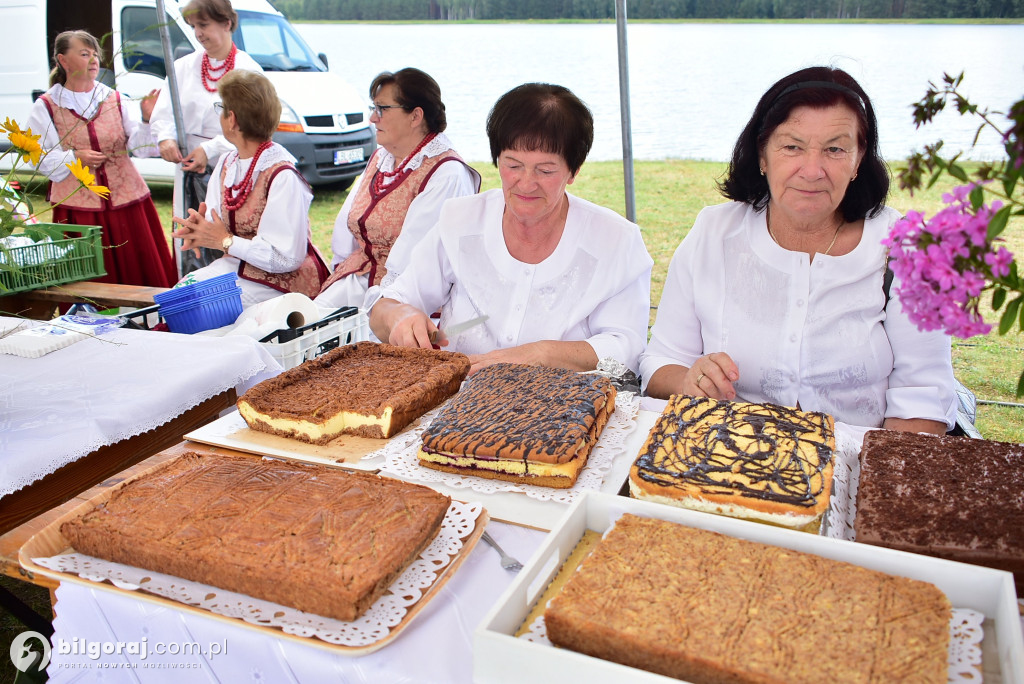 Dzień Miodu i Pieroga w Biszczy – tradycja, smaki i muzyka nad Zalewem Biszcza-Żary