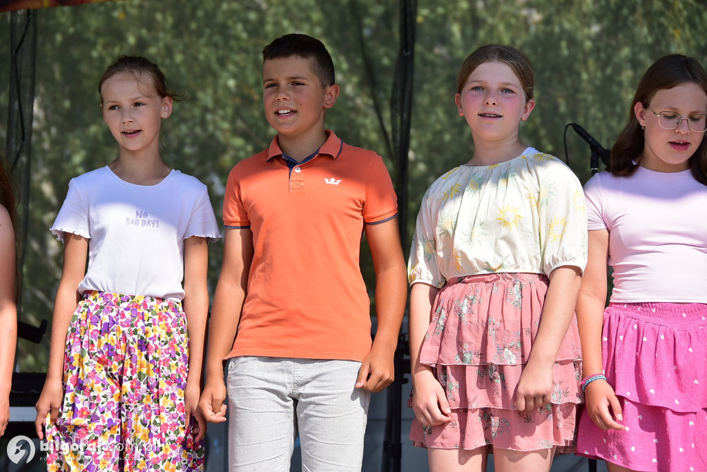 Dzień Miodu i Pieroga w Biszczy – tradycja, smaki i muzyka nad Zalewem Biszcza-Żary