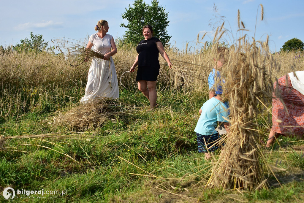 Żniwa w Dereźni: Powrót do tradycji i międzypokoleniowa integracja