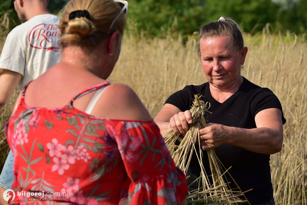 Żniwa w Dereźni: Powrót do tradycji i międzypokoleniowa integracja