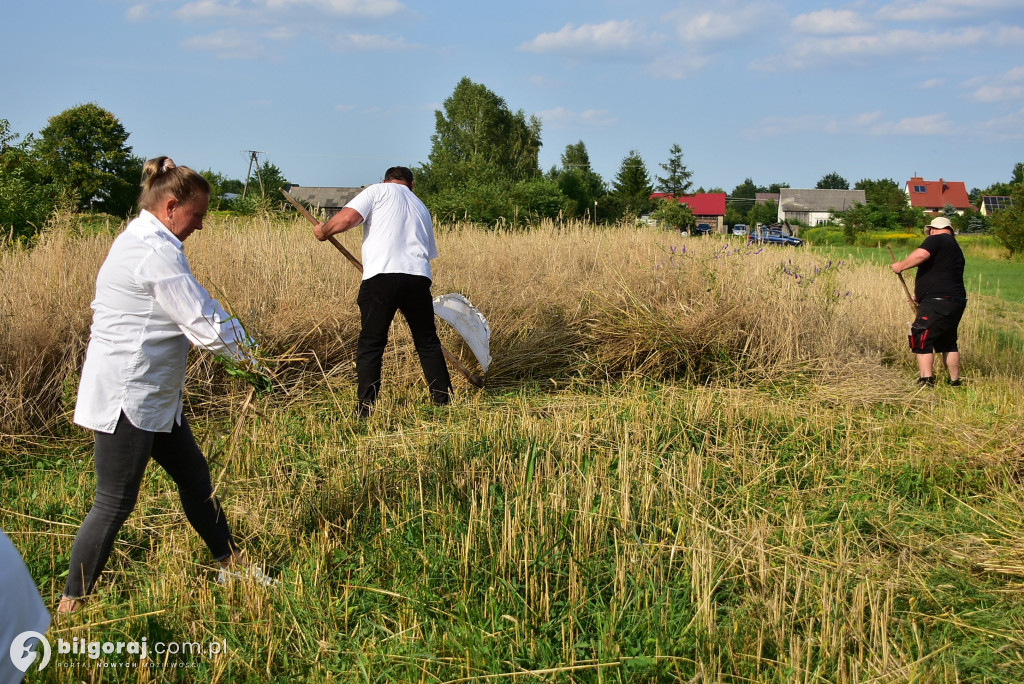 Żniwa w Dereźni: Powrót do tradycji i międzypokoleniowa integracja