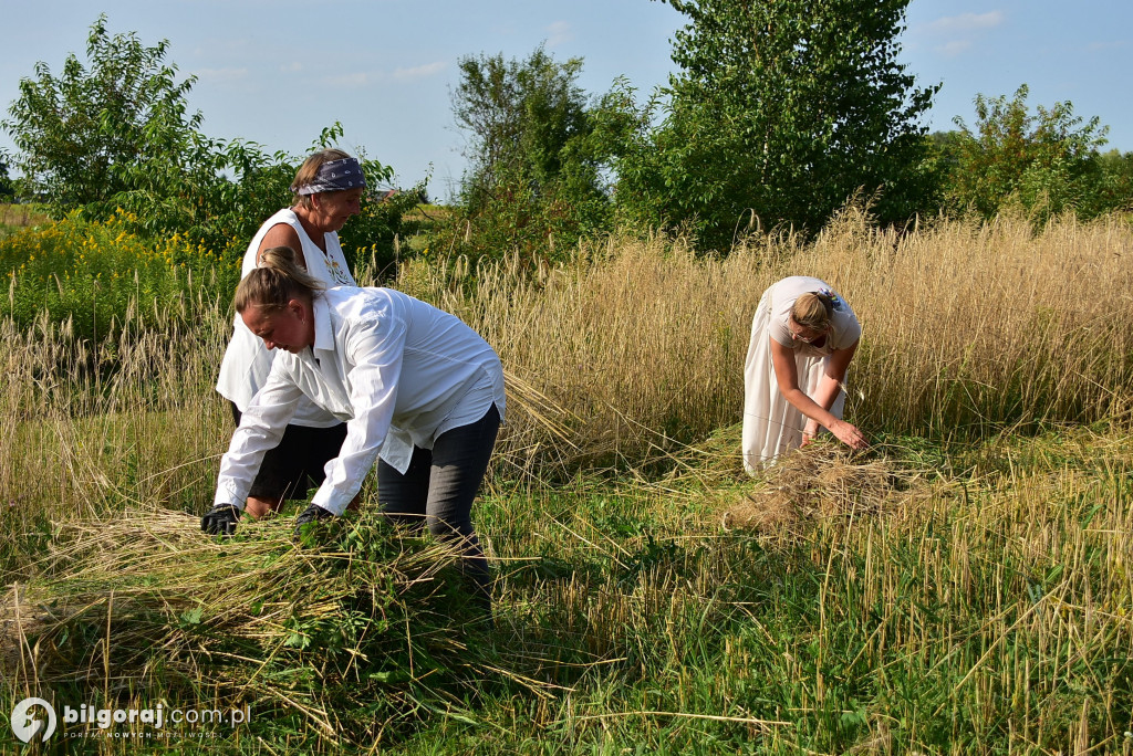 Żniwa w Dereźni: Powrót do tradycji i międzypokoleniowa integracja