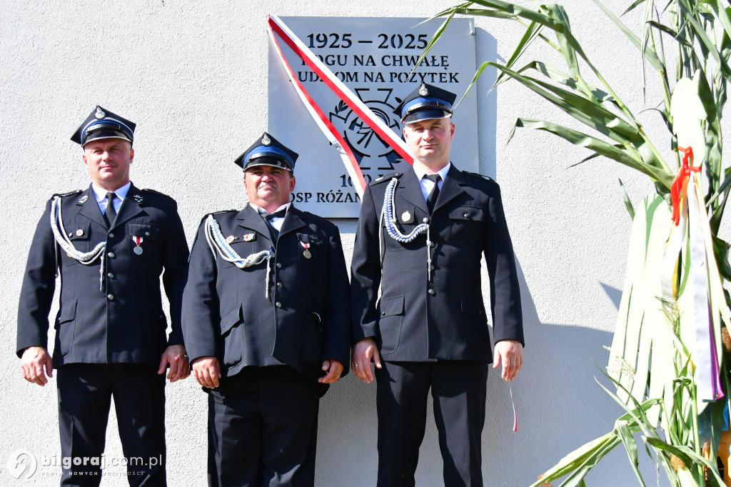 Dożynki gminne w Różańcu Pierwszym Święto plonów gminy Tarnogród
