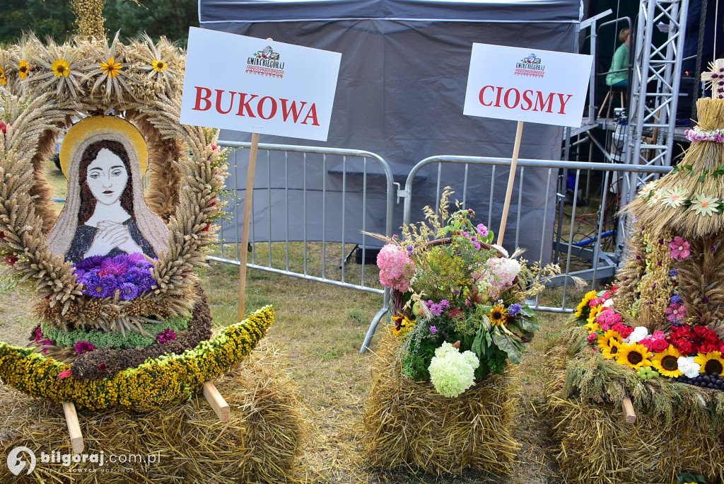 Dożynki w Gminie Biłgoraj