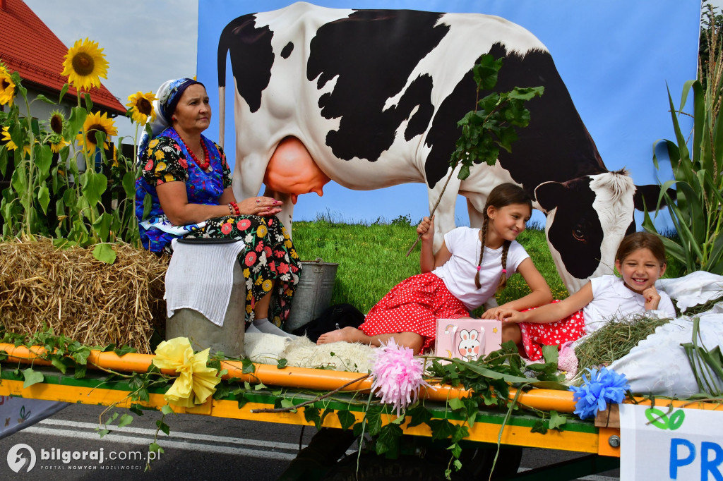 Święto Plonów w gminie Aleksandrów