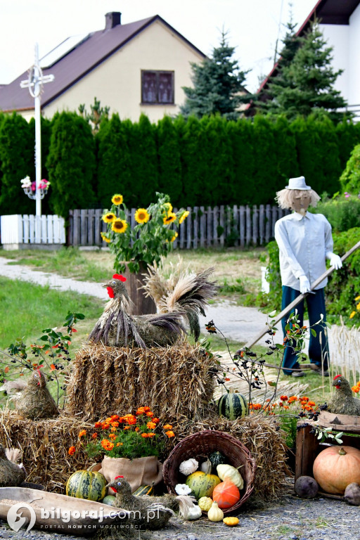 Święto Plonów w gminie Aleksandrów