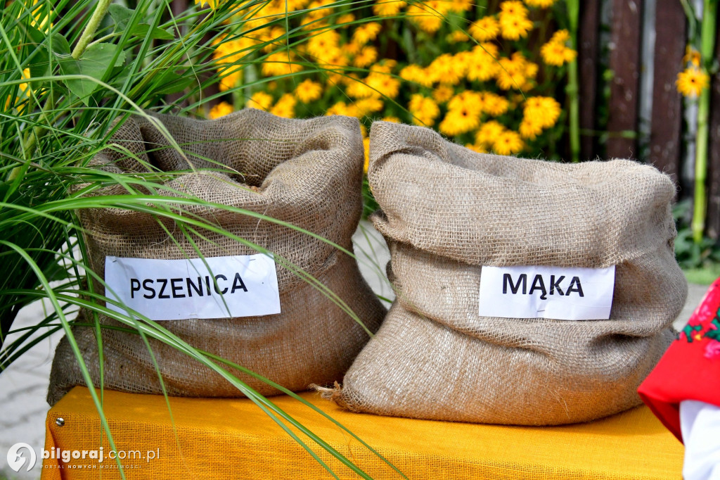 Święto Plonów w gminie Aleksandrów