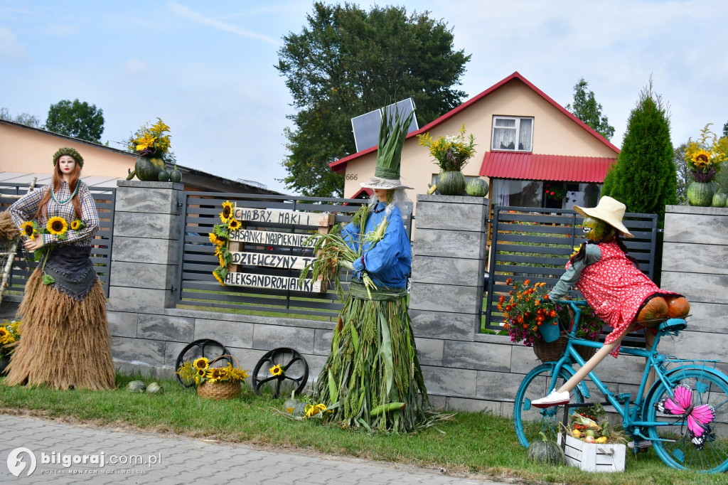 Święto Plonów w gminie Aleksandrów
