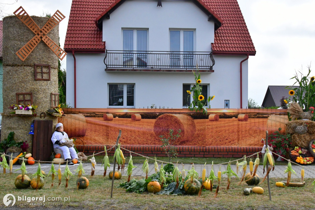 Święto Plonów w gminie Aleksandrów