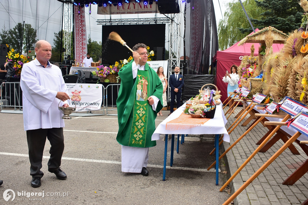 Potok Górny gościł dożynki powiatu biłgorajskiego