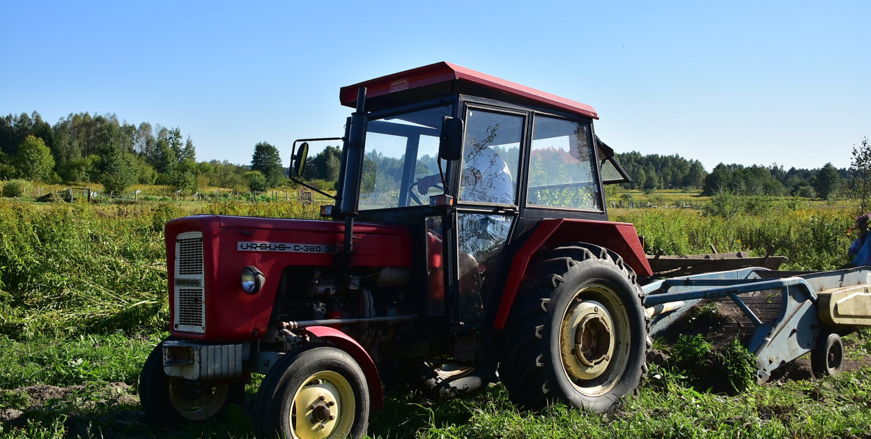Kartoflaki w Dereźni: Tradycja, zabawa i integracja pokoleń
