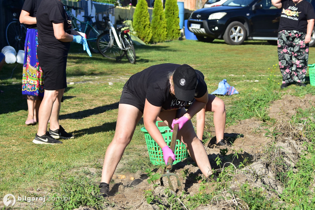 Kartoflaki w Dereźni: Tradycja, zabawa i integracja pokoleń
