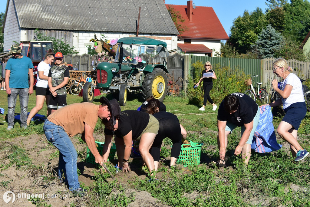 Kartoflaki w Dereźni: Tradycja, zabawa i integracja pokoleń