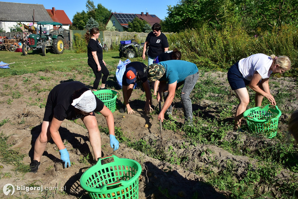Kartoflaki w Dereźni: Tradycja, zabawa i integracja pokoleń