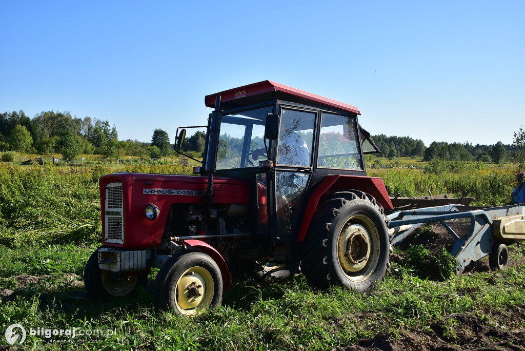 Kartoflaki w Dereźni: Tradycja, zabawa i integracja pokoleń