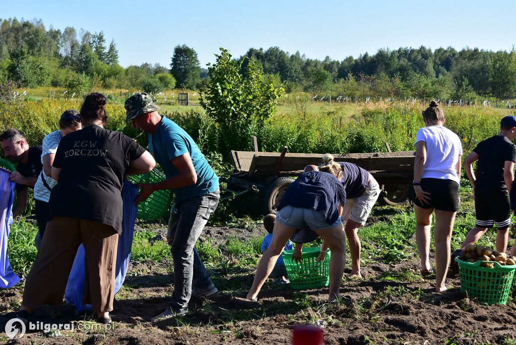 Kartoflaki w Dereźni: Tradycja, zabawa i integracja pokoleń