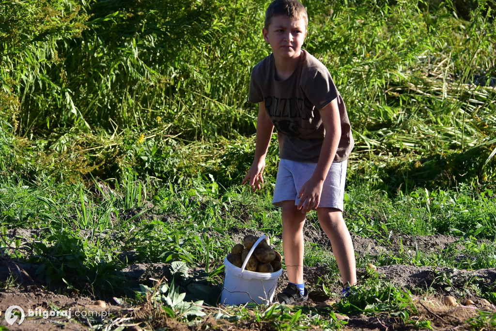 Kartoflaki w Dereźni: Tradycja, zabawa i integracja pokoleń