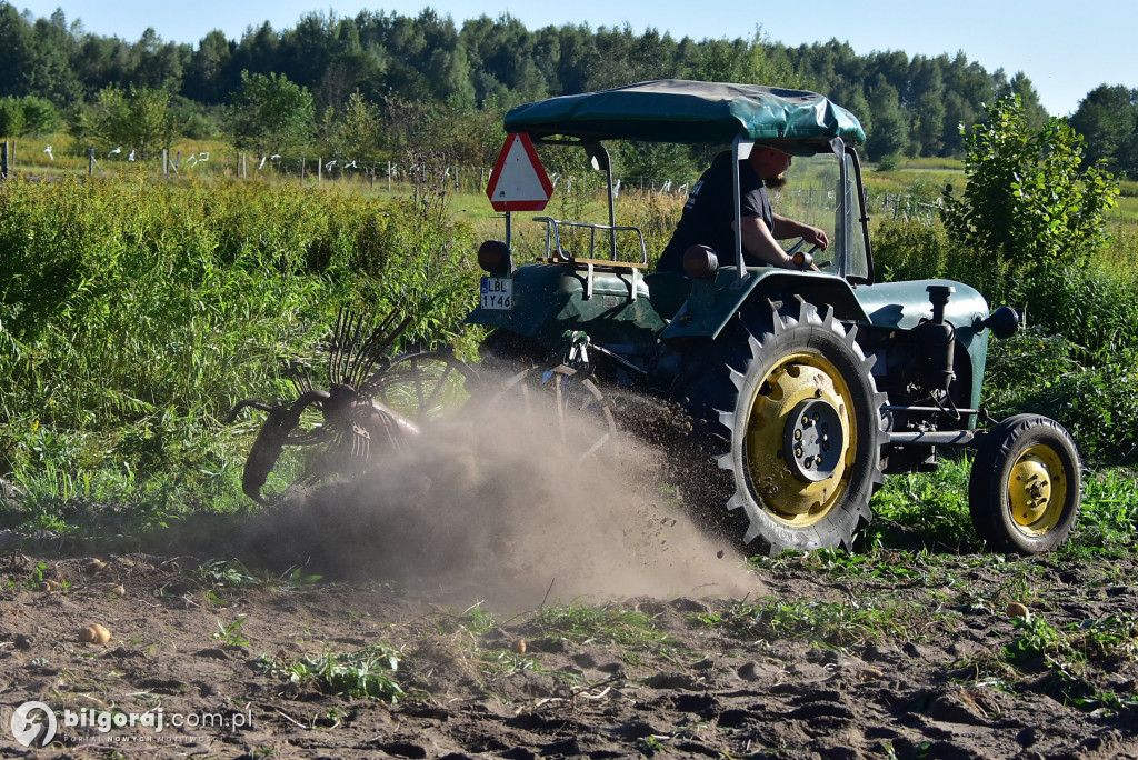 Kartoflaki w Dereźni: Tradycja, zabawa i integracja pokoleń
